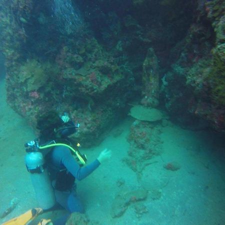 Anilao Scuba Dive Center Hotell Batangas Exteriör bild